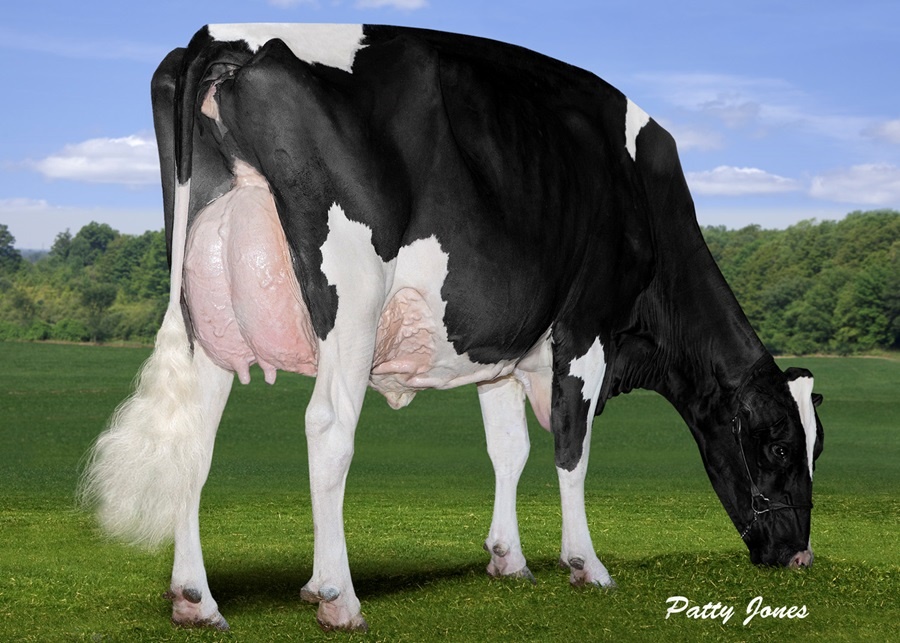 Rainyridge Sanchez BETH